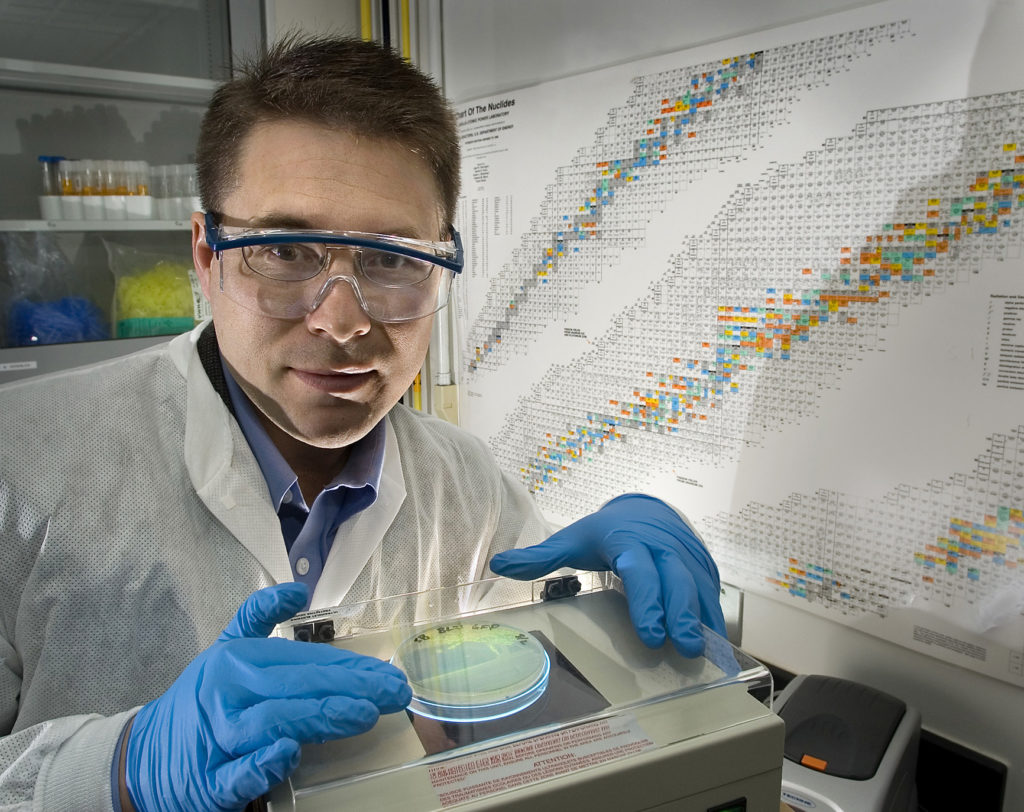 Genetically Modified Foods or GMOs as they are commonly referred to should be removed from our store shelves once and for good