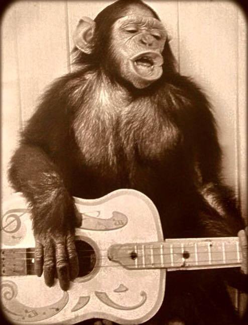 Hymns of the great apes