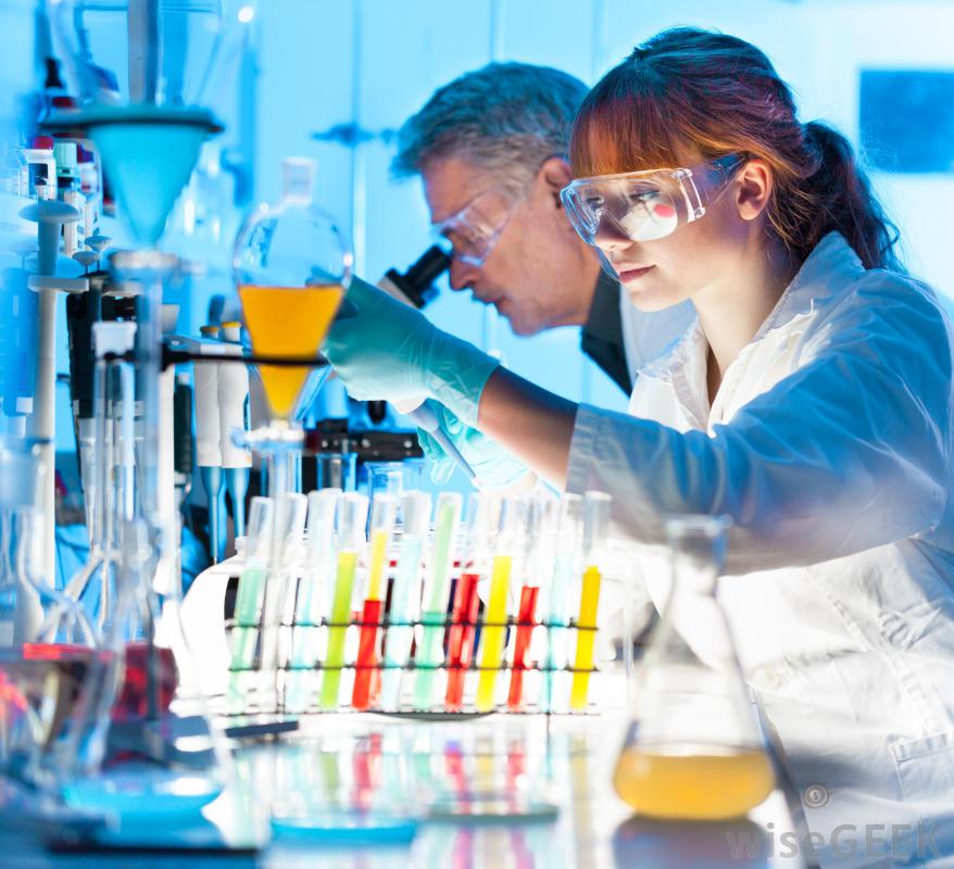 The Scientific community of today should never have adopted the Intellect of the Greeks of the old