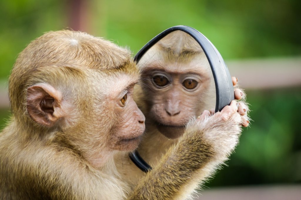 What do you see when you look at yourself in the mirror? Is it a positive or negative image?